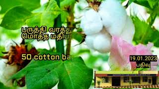 திருச்செங்கோடு பருத்தி விலை நாமக்கல் || Tiruchengode cotton price Namakkal