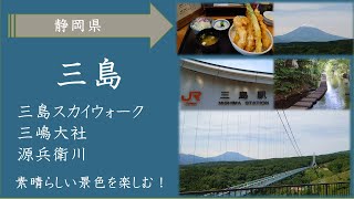 ＜三島＞三島スカイウォーク・三嶋大社・源兵衛川・楽寿園の１日観光