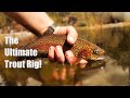 How To Catch Trout With A Drop Shot (trout Fishing Basics)