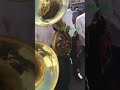 Kimbanguist Brass band pressing great bombardo keys👌😂