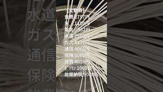 2ヶ月後に退職する社会人3年目会社員の生活費公開│500万セミリタイア #早期退職 #節約生活 #食費節約 #一人暮らし #貧乏 #家計簿公開