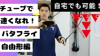 【宅トレ編】泳げない？よし！チューブトレーニング！(バタフライ・自由形編)