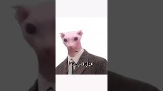 الفتى المدلل جي جي عدل قميصة جي جي