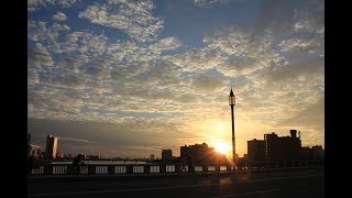 小さな窓の花ごよみ 428 MEDIA SHIP 空の広場 ～萬代橋夕景 ♪浜辺の歌：SHIGEKO SUZUKI ♪