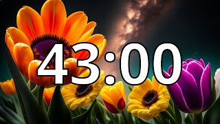 43 Minutes Timer with Music | Spring Timer