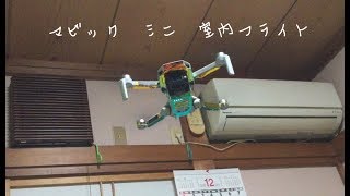 dji mavic mini 室内フライト　オーロラカスタム　Aurora custom wrapping