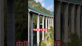 这么高的高速路，开车在上面难道不会害怕吗？#旅行推荐官 #不可思议 #贵州高速