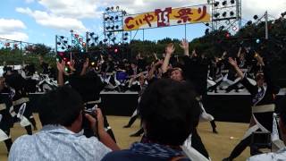 近畿大学よさこい連　洗心　こいや祭り2014