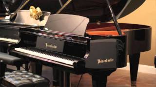 Pre-Owned Bösendorfer Model 200 | PianoWorks | Beethoven