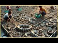 How Indonesian People Makes 5 Million Dollars from Indonesia snake Street Food Cobra Satay