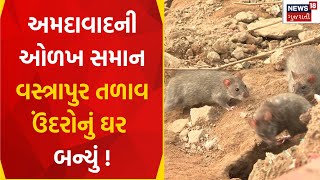 Ahmedabad News : અમદાવાદની ઓળખ સમાન વસ્ત્રાપુર તળાવ ઉંદરોનું ઘર બન્યું ! | Vastrapur | Gujarati News