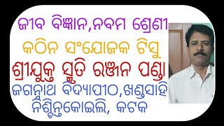 କଠିନ ସଂଯୋଜକ ଟିସୁ( ନବମ ଶ୍ରେଣୀ )