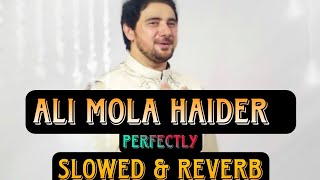 Farhan Ali Waris I slowed & reverb | Ali Mola Haider I Manqabat | 2023 | 1444