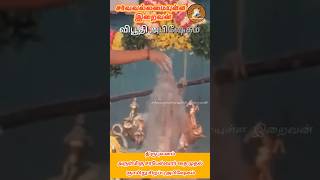 திருபுவனம் ஸ்ரீ சரபேஸ்வரர் தை முதல்ஞாயிறு திருநீறு அபிஷேகம் SarvavallamaiyullaIraivan #sarabeshwarar