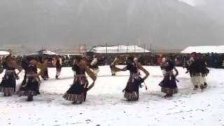 ནགས་ཤོད་འབྲི་རུའི་ཞབས་བྲོ།Tibetan dance by Driru 2016 #kalsangchoephel #tibetandance #tibetansong