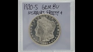 1880-S Morgan Silver Dollar with mirrors and other peace dollars 6/26/23