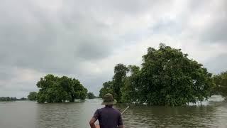 Ricefield flood in Pailin, Cambodia | Relaxing | ស្ទឹងតារាប តំបន់ទំនាប ខេត្តប៉ៃលិន ទឹកជន់លិច