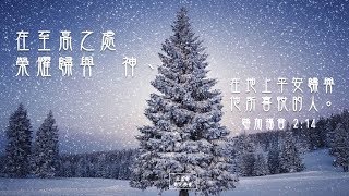 【一分鐘背誦聖經金句：路加福音 2:14】 《主基督 榮光教會》