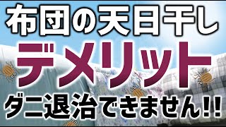 布団の天日干しのデメリット！ダニを退治する事はできません！/ 福山市のいしだクリーニング・パステルクリーニング