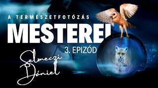 Lépj be a természetfotózás világába! | Ismerd meg a mesterek titkait! | Selmeczi Dániel