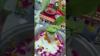 Hartalika teej Puja 2021 #pujavlog #hartalikateej2022 #shorts