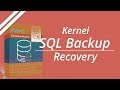 Restore SQL Database files from Backup files using Kernel for SQL Backup Recovery