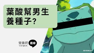 維生素B9 葉酸 男性吃助孕嗎？孕婦備孕計畫營養師建議這樣吃 #營養師連線 Vitamin B9