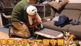 お気に入りのおもちゃを持って実家に連れて行かれるとき！