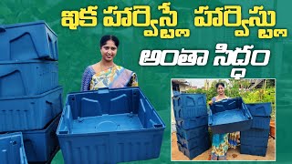 కొత్తగా గార్డెనింగ్ చేస్తున్నారా|| కొత్త మొక్కలు పెడుతున్నారా||ఎక్కువ హార్వెస్ట్ కావాలా||Don't Miss