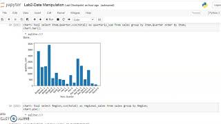 Working with Jupyter Notebook for SQL queries and Visualization