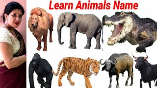 Let's Learn Animals Name Cow, Dog, Tiger, Ape, Mare, Cat, Zebra, Ox | Animals Video for kids | #Cow