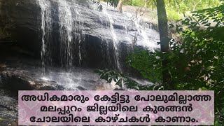 Beautiful Places to visit in Malappuram:Kurangan Chola, near Mankada in Malappuram. (Waterfalls)