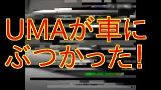 【不思議映像】瞬間移動で現れた車との衝突事故