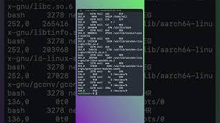 List open files and remote sessions using lsof - Useful Linux Tools