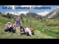 BL 232: Week 13 CH 23: Terrestrial Ecosystems