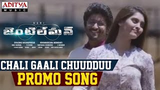 Chali Gaali Chuuddu Promo Song || Gentleman Songs || Nani, Surabhi, Nivetha Thamas