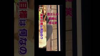 豊さんが奥さんに怒る笑　ただのいちゃいちゃ動画