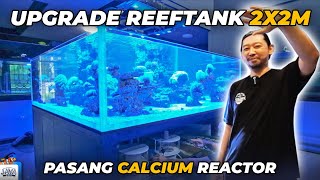 JAWAB PERTANYAAN QNA! - PASANG REACTOR CALCIUM TANK 2X2