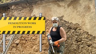 #2 - Demolition day at the French homestead - Exposing stone wall and taking off the roof.