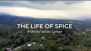 Life of Spice: Cardamom in Guatemala