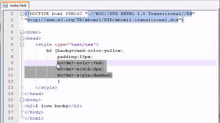 XHTML and CSS Tutorial 22 Border