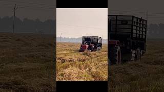 kaka song mhindra old model tractor trolley farming🚜🐄🌾 new shorts video#youtubeshorts #nishudaswal