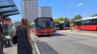 Linija 108:Omladinski Stadion - Reva/Duboka Bara/ (Cela Trasa)