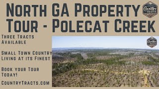 Countrytracts.com| Polecat Creek Property Tour | Three Tracts | North Georgia Land For Sale