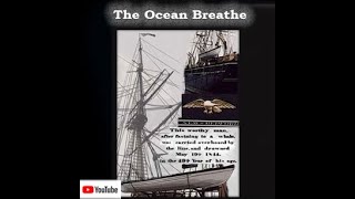 The Immigrants - The Ocean Breathe - www.theimmigrants.com