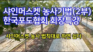 샤인머스켓농사 법칙(2부) 지배렐린,부라마이신,열과, 물관리 방법