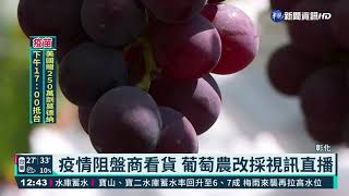 疫情阻盤商看貨 葡萄農改採視訊直播｜華視新聞 20210620