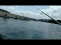 癒される釣りはいかがっ⁉️島根半島でアコウ狙い‼️ fishing ダイワ ルアーフィッシング 月下美人 カサゴ キジハタ