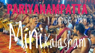 Mini Pariyanampatta Theeru Kalasham | Variety Theeru at Peringottukara Ulsavam 2025