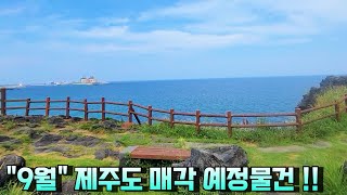 [제주도부동산경매] 